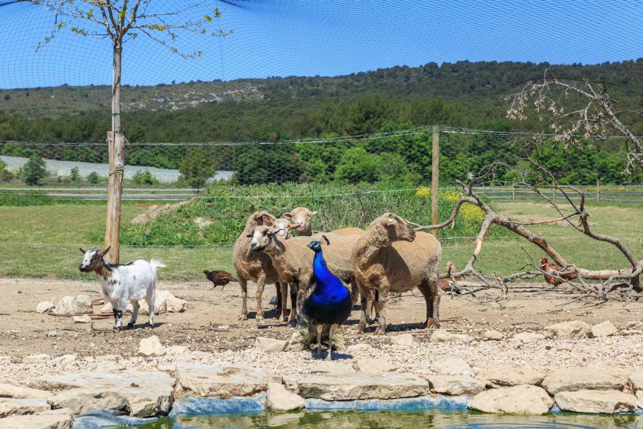 Lou Mas Li Pitchoun "La Lauze" Gordes Exterior foto
